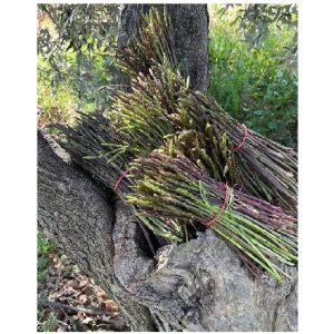 Asparagi Selvatici