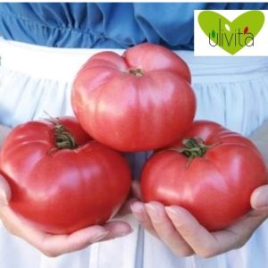 La passata di pomodoro fa bene alla salute