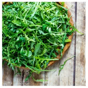 Rucola