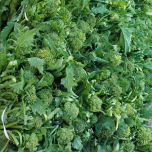 Ecco 10 ricette gustose e prestigiose con broccoletti e cime di rapa